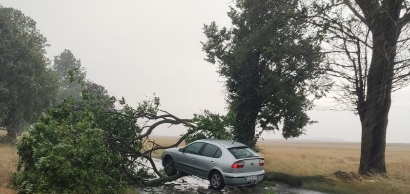 Powalone drzewo przygniotło jadący samochód, z pomocą kierowcy nadjechali funkcjonariusze SOK