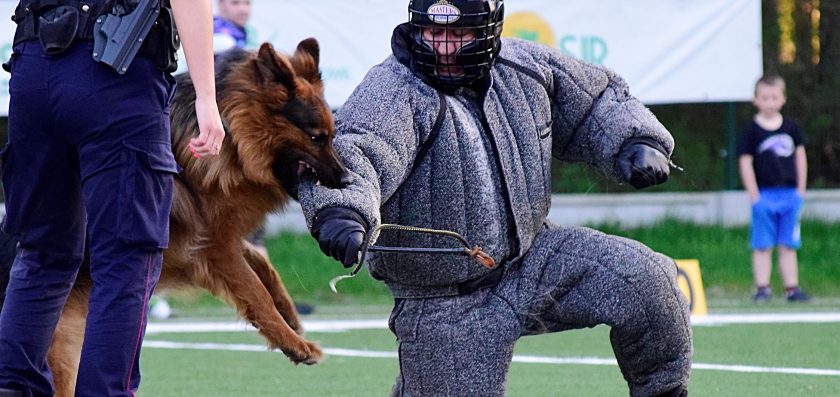 Pokazy Straży Ochrony Kolei na meczu futbolu amerykańskiego