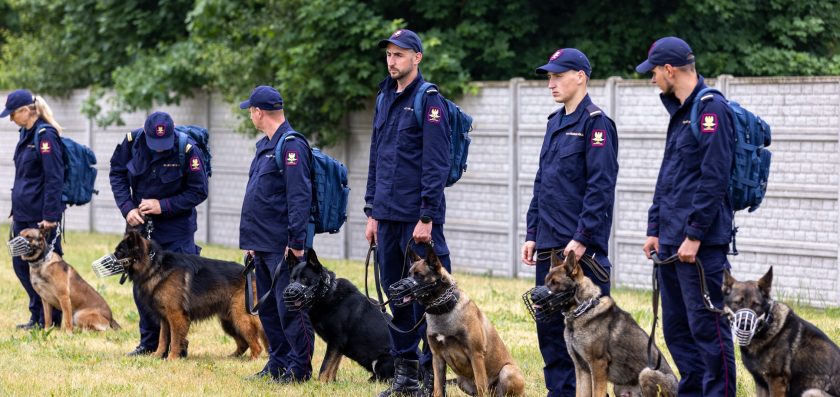 Międzynarodowy Dzień Zwierząt