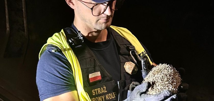 Nietypowa interwencja funkcjonariuszy SOK na torach w Warszawie
