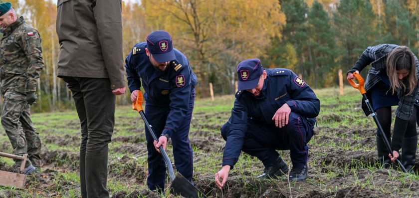 Funkcjonariusze SOK przyłączyli się do akcji sadzenia „Lasu Pamięci”