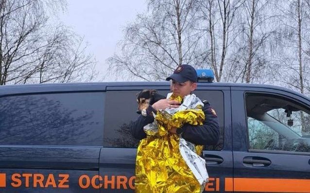 Funkcjonariusze niedaleko torów znaleźli psa