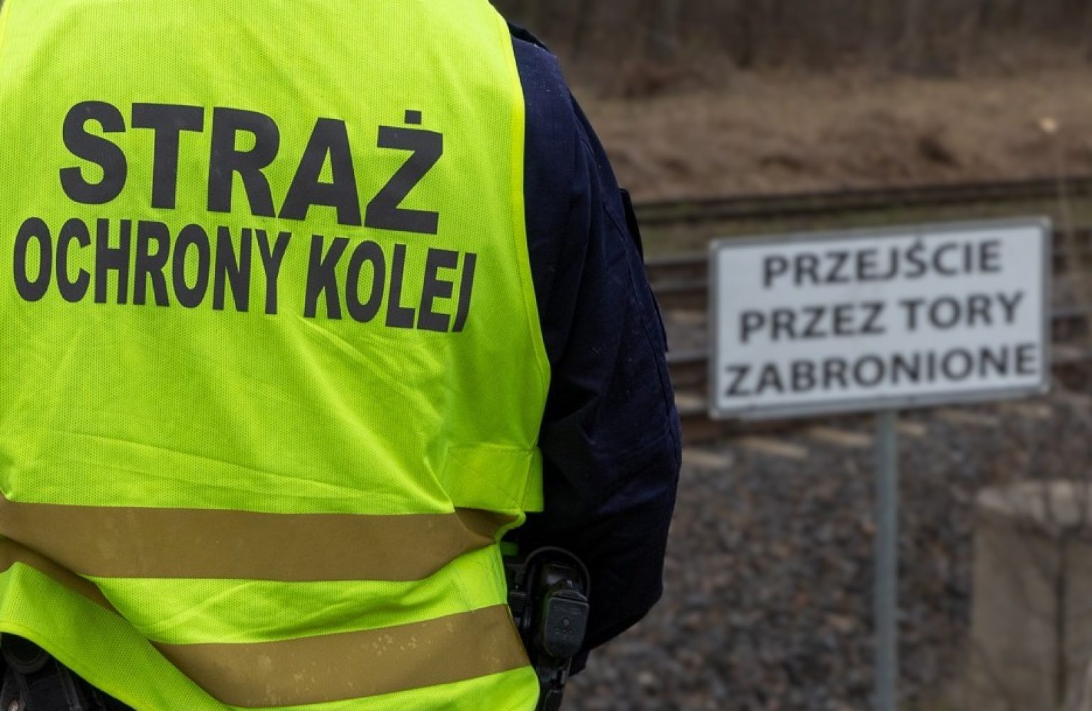 „Dzikie Przejścia”