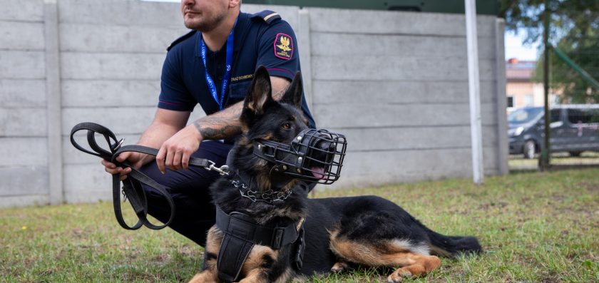 Międzynarodowy Dzień Psa