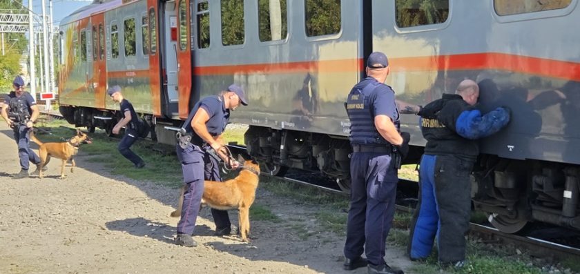 Łódzkie psy służbowe SOK i Policji w akcji – ćwiczenia na kolei