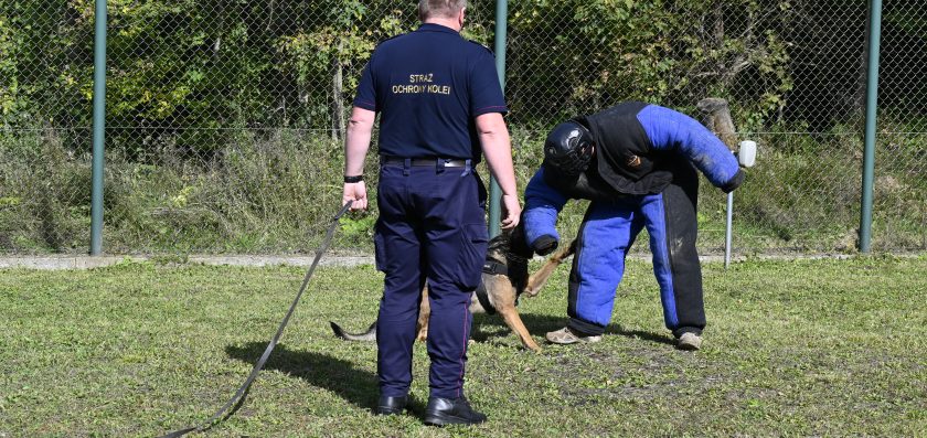 Za nami II edycja Podkarpackich Ćwiczeń Psów Służbowych Formacji Mundurowych!