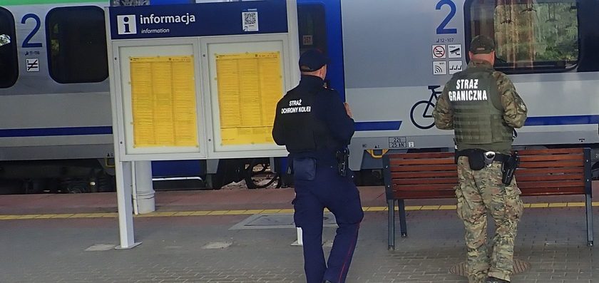 Zatrzymany podczas kontroli w pociągu