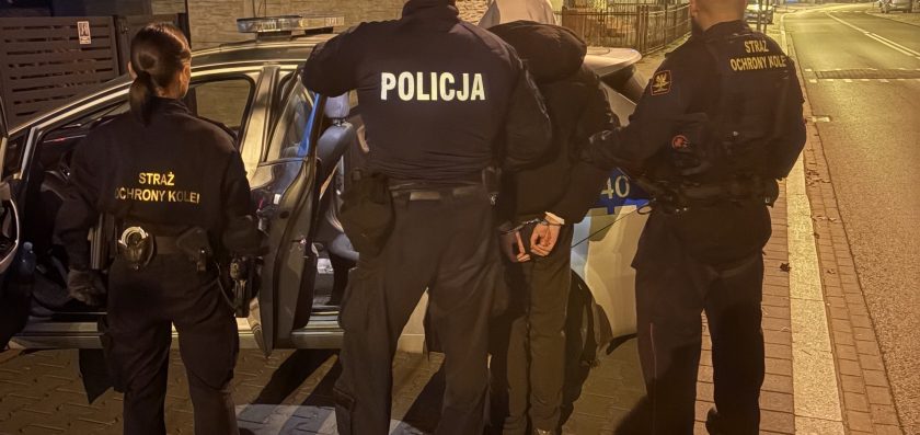 Zatrzymani z narkotykami podczas operacji „TOR”