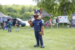 Mundurowy Dzień Dziecka w Katowicach