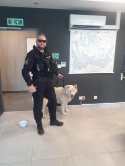 „O Psie, który jeździł koleją”