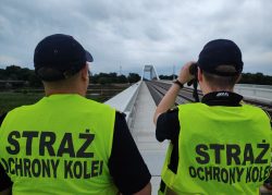 Straż Ochrony Kolei wspiera Straż Graniczną w związku z tymczasowym przywróceniem kontroli na granicach z Niemcami i Litwą
