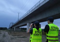 Straż Ochrony Kolei wspiera Straż Graniczną w związku z tymczasowym przywróceniem kontroli na granicach z Niemcami i Litwą