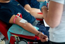 „Kolej na Krew” - kolejarska solidarność funkcjonariuszy SOK i pracowników PKP