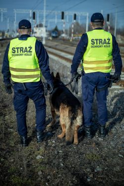 Straż Ochrony Kolei wspiera Straż Graniczną w związku z tymczasowym przywróceniem kontroli na granicach z Niemcami i Litwą