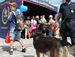 Bezpieczna podróż pociągiem POLREGIO z funkcjonariuszami SOK