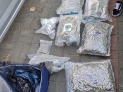SOK we współpracy z innymi służbami przejęła w pociągu narkotyki warte milion złotych
