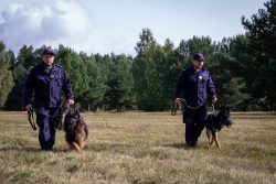 Czarne areną III Ćwiczeń Psów Służbowych Formacji Mundurowych