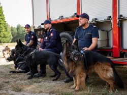 Czarne areną III Ćwiczeń Psów Służbowych Formacji Mundurowych