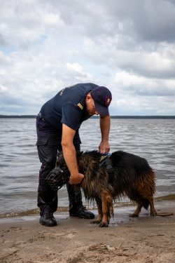 Czarne areną III Ćwiczeń Psów Służbowych Formacji Mundurowych