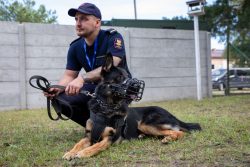 Czarne areną III Ćwiczeń Psów Służbowych Formacji Mundurowych