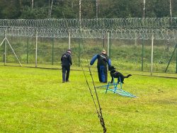 Ćwiczenia przewodników i psów służbowych formacji mundurowych