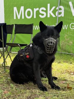 Funkcjonariusze SOK wzięli udział w gdyńskim wydarzeniu pn. "Zanurz się w podziemiach – Wietrzenie Schronu"