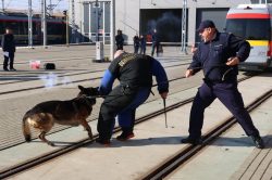 W �?ódzkiej Kolei Aglomeracyjnej sokiści, policjanci i strażnicy więzienni szkolili psy służbowe