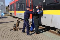 W �?ódzkiej Kolei Aglomeracyjnej sokiści, policjanci i strażnicy więzienni szkolili psy służbowe