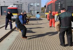W �?ódzkiej Kolei Aglomeracyjnej sokiści, policjanci i strażnicy więzienni szkolili psy służbowe