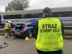 Ćwiczenia służb na obszarze kolejowym