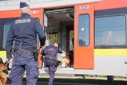 W �?ódzkiej Kolei Aglomeracyjnej sokiści, policjanci i strażnicy więzienni szkolili psy służbowe