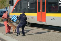 W �?ódzkiej Kolei Aglomeracyjnej sokiści, policjanci i strażnicy więzienni szkolili psy służbowe