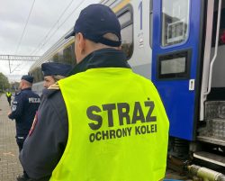 Ćwiczenia służb na obszarze kolejowym