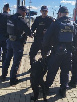 Ćwiczenia praktyczne z udziałem funkcjonariuszy Komendy Regionalnej Straży Ochrony Kolei w Gdańsku