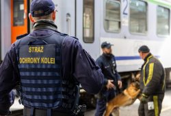 Psy służbowe doskonalą swoje umiejętności na kolei