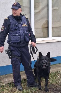 Psy służbowe doskonalą swoje umiejętności na kolei