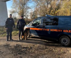 Wspólne działania Straży Ochrony Kolei i Policji