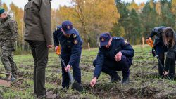 Funkcjonariusze SOK przyłączyli się do akcji sadzenia „Lasu Pamięci”