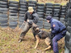CERBERUS K9 – Międzynarodowe Manewry Przewodników Psów Pracujących
