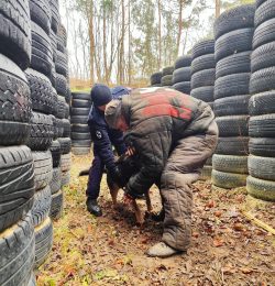CERBERUS K9 – Międzynarodowe Manewry Przewodników Psów Pracujących