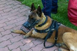 Po 7 latach służby Baster odszedł na zasłużoną emeryturę