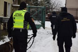 Wspólne szkolenie psów SOK, Policji i Straży Miejskiej w Białymstoku