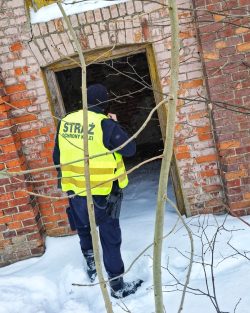 Akcja „Zima” – pomoc osobom bezdomnym na obszarze kolejowym