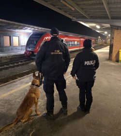 Aktywna Tarcza z udziałem polskiej Straży Ochrony Kolei