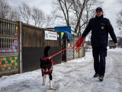Funkcjonariusze i pracownicy Straż Ochrony Kolei wsparli schronisko dla zwierząt