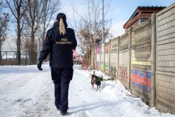 Funkcjonariusze i pracownicy Straż Ochrony Kolei wsparli schronisko dla zwierząt