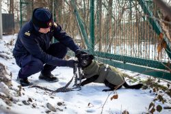 Funkcjonariusze i pracownicy Straż Ochrony Kolei wsparli schronisko dla zwierząt