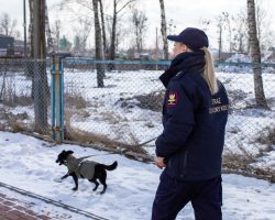 Funkcjonariusze i pracownicy Straż Ochrony Kolei wsparli schronisko dla zwierząt