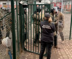 Służby w gotowości – wspólne ćwiczenia na terenie gdańskiej jednostki penitencjarnej