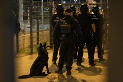 Zabezpieczenie przejazdu uczestników imprez masowych przez Straż Ochrony Kolei